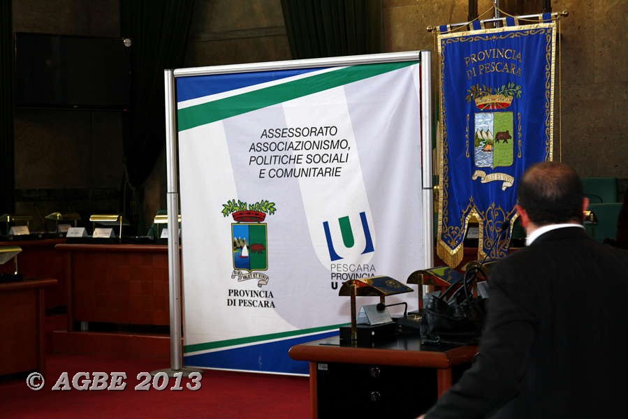 13 gennaio 2013 - Galà della Solidarietà - premiata l'attività dell'AGBE