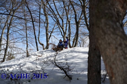 01-02-2015 Giornata Sulla Neve